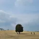 당근이지
