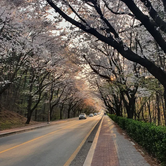 꽃밭에서