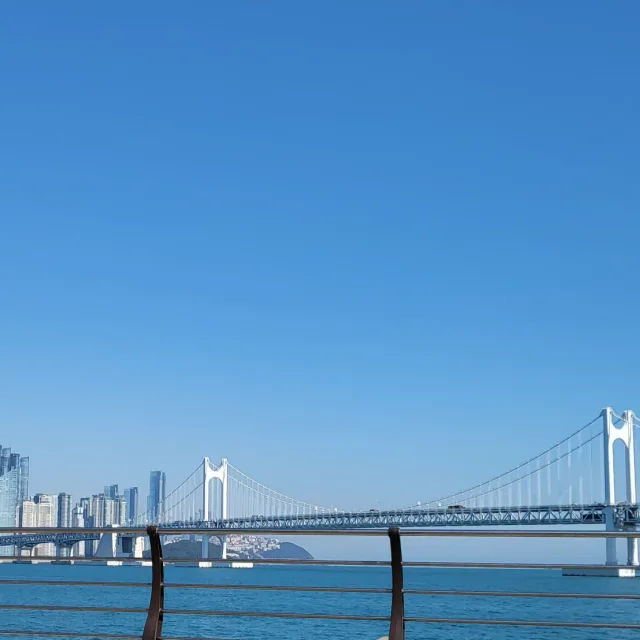비대면조음