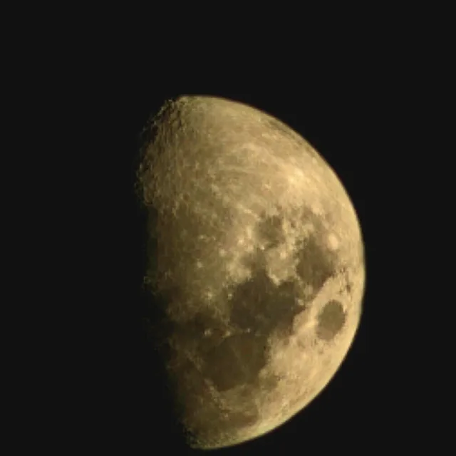 profile