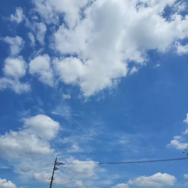 키다리아저씨