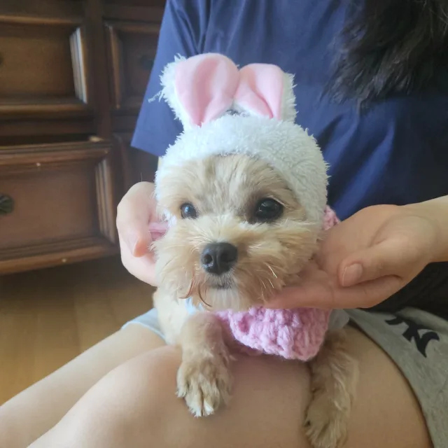 또야맘