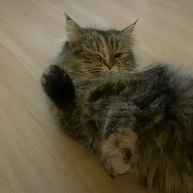 영둥