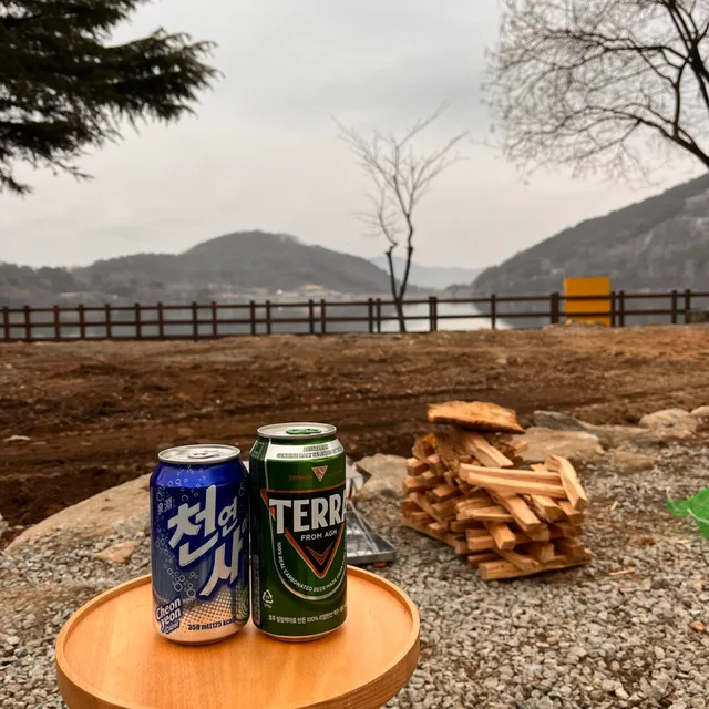 개비스콘