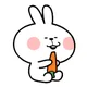 당근당근