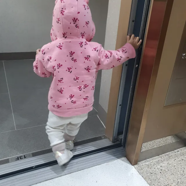 큰곰자리