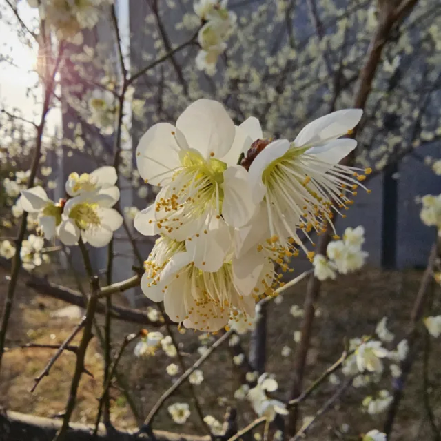 하늘보기