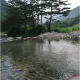 림림