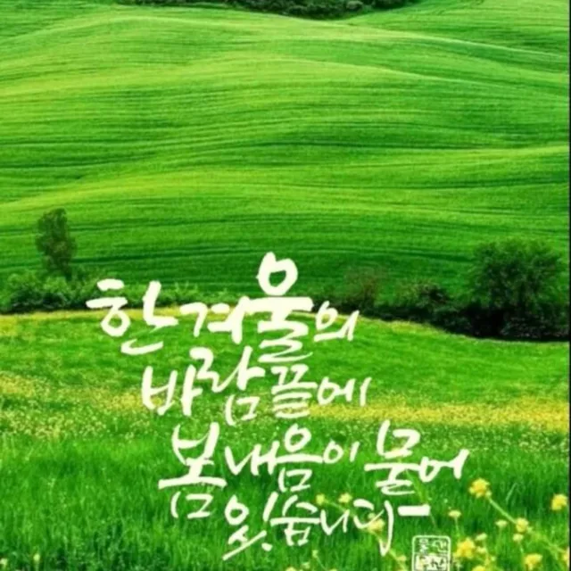 카이