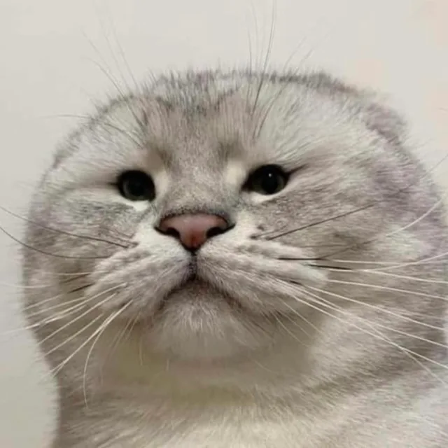 안녕당근