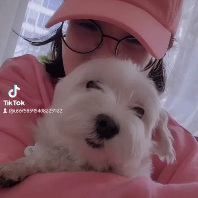 젤이쁜수영