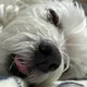 덕구