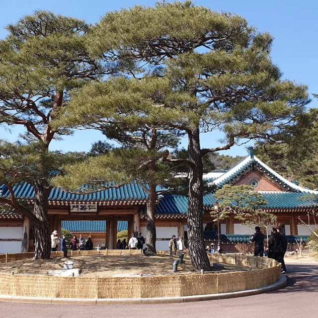 보람바라