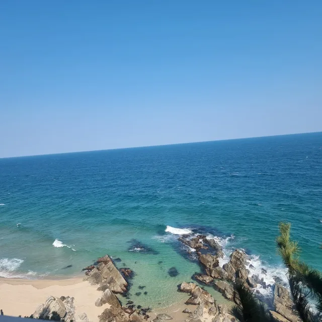 차노맘