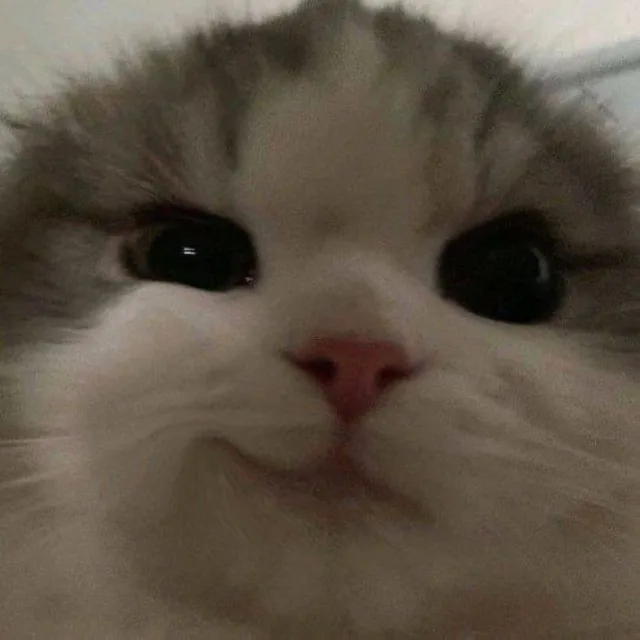 잉뀨