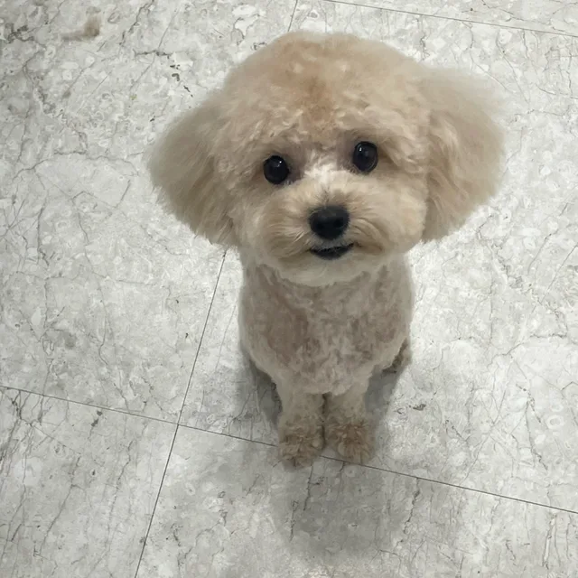 초보니까