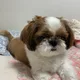 보쿠