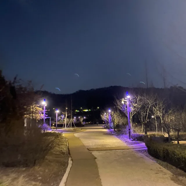찔러보기사절