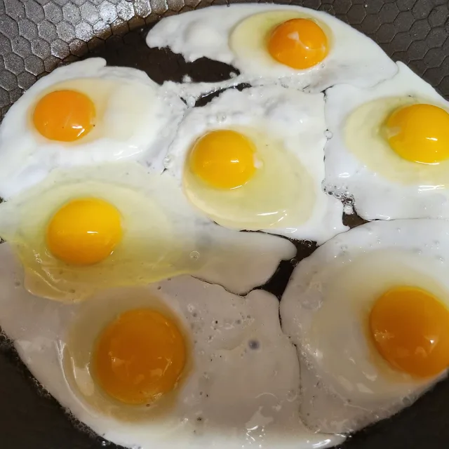 토오르