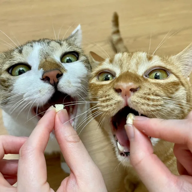 용용