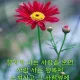 크리스