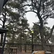 똥그리