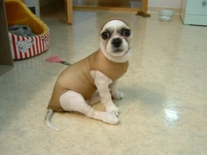 앙팡