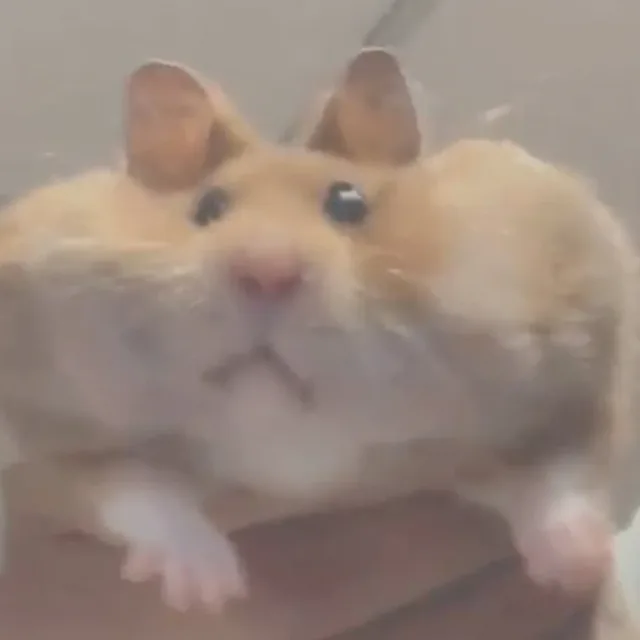Hamz