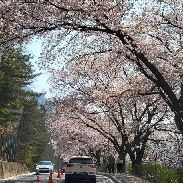 딸부자