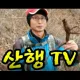 천종