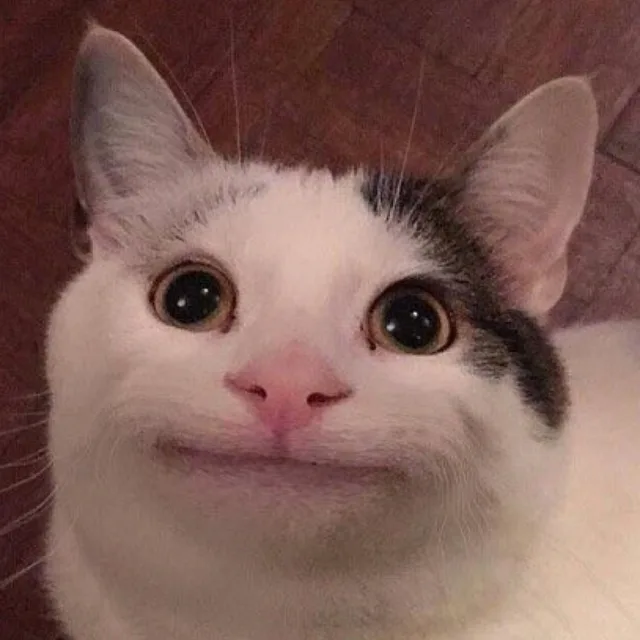 헤일로