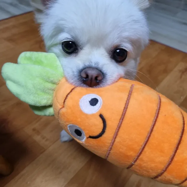 사랑맘