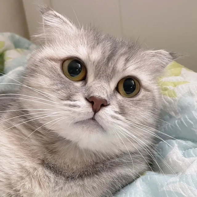 루루아빠
