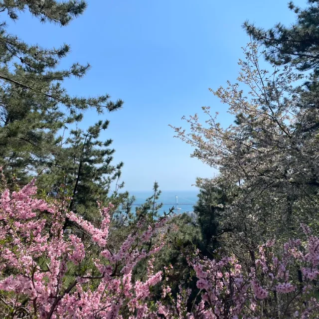 덕뀨