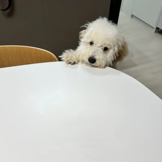 재드기