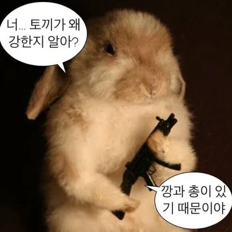 깡총
