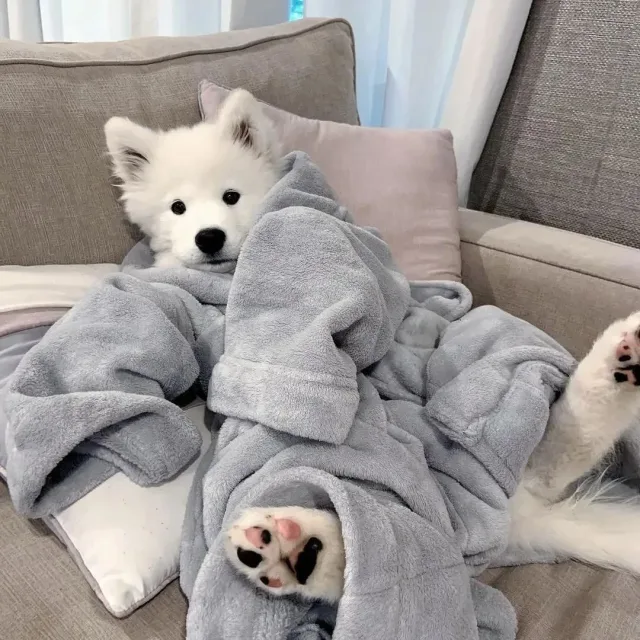 냥냥펀치