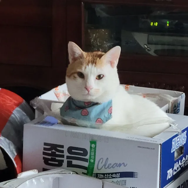 방울아