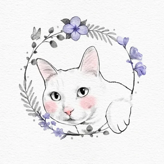 꾸꾸