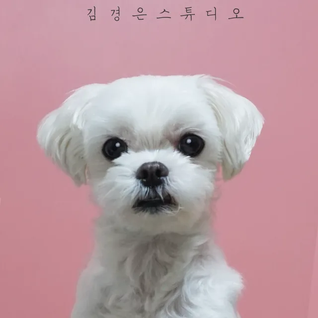 코코맘