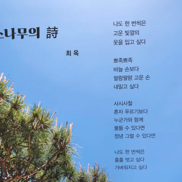 블루오션