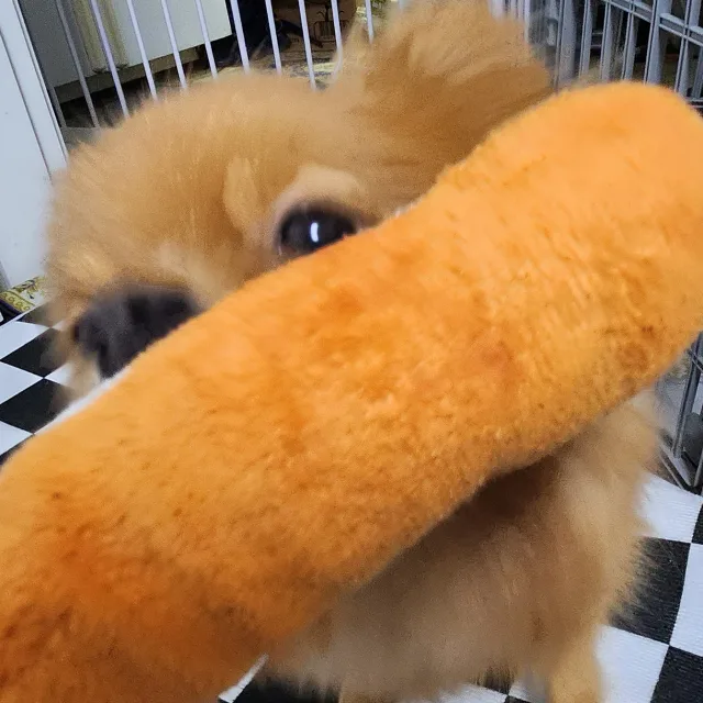 감삼다