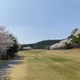 하린이아빠
