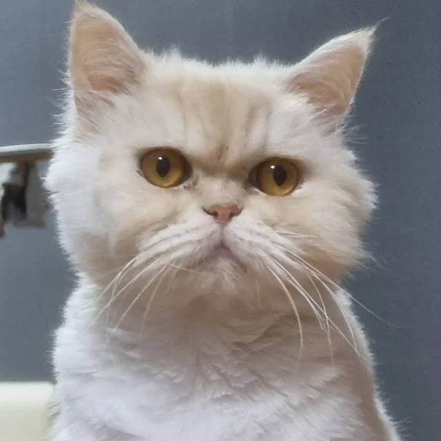 조습니다
