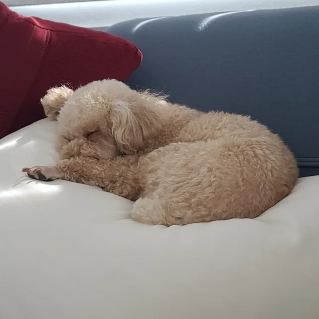 비우자