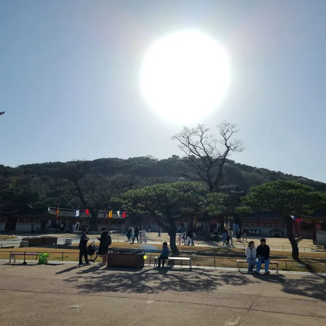 생생라면