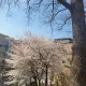 감사