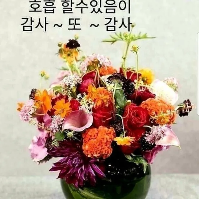 감사찬송