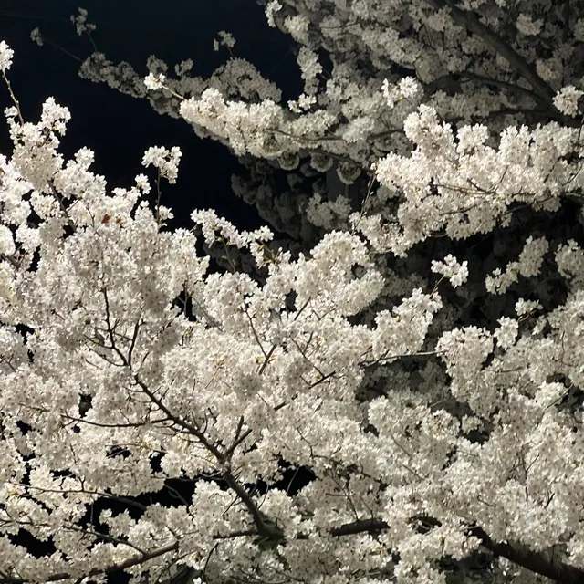 불당동