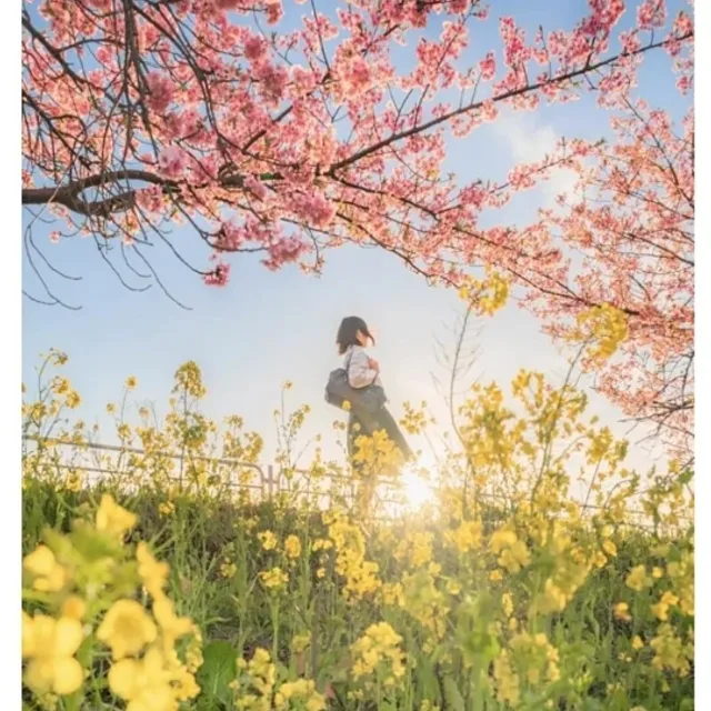 롤랄라